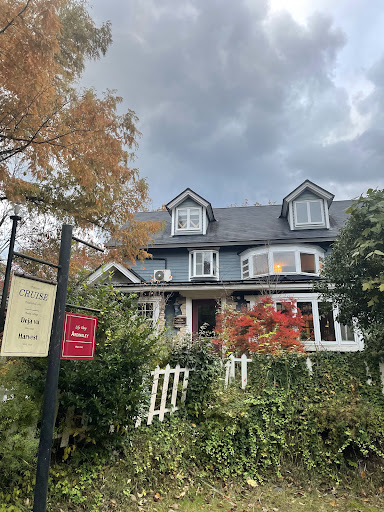 Photo from customer review